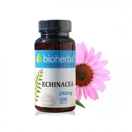 Bioherba Echinacea 240 mg. 100 caps.