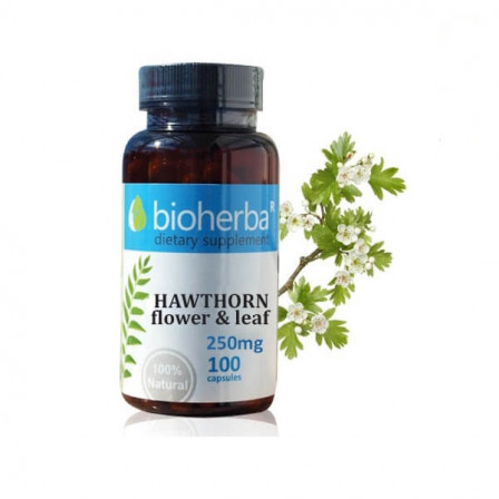 Bioherba Hawthorn Flowe Lef 250 mg. 100 caps.