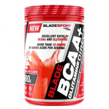 Blade Sport Bcaa + Glutamine 600 gr.