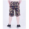 Legal Power Shorts CAMOU Camouflage 6166-864
