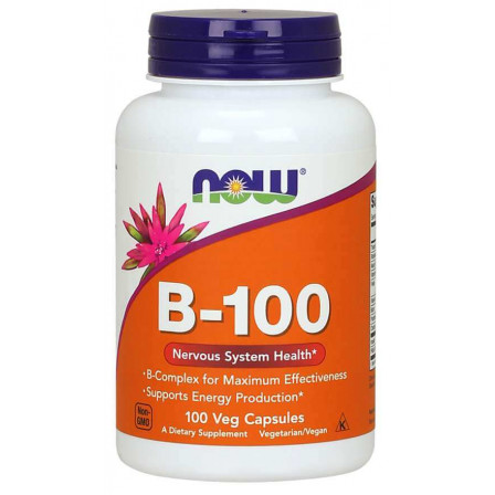 Now Foods Vitamin B-100 100 veg caps.